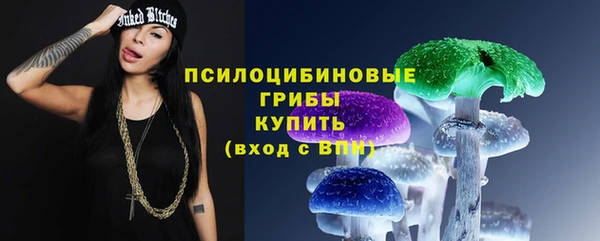 дживик Арсеньев