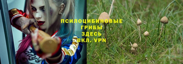дживик Арсеньев