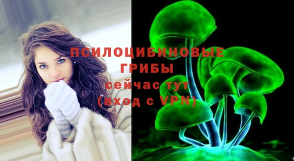 дживик Арсеньев